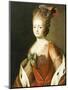 Portrait of Maria Fedorovna, Wife of Grand Duke Paul Petrovich (Future Tsar Paul I)-Alexander Roslin-Mounted Giclee Print