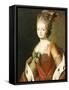 Portrait of Maria Fedorovna, Wife of Grand Duke Paul Petrovich (Future Tsar Paul I)-Alexander Roslin-Framed Stretched Canvas