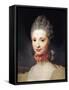 Portrait of Maria Luisa Di Parma, Princess of Asturias, 1765-Anton Raphael Mengs-Framed Stretched Canvas