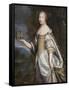 Portrait of Maria Theresa of Spain (1638-168), Queen Consort of France and Navarre-Charles Beaubrun-Framed Stretched Canvas