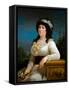 Portrait of Marianna Movigia Reina (Oil on Canvas)-Andrea the Elder Appiani-Framed Stretched Canvas