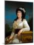 Portrait of Marianna Movigia Reina (Oil on Canvas)-Andrea the Elder Appiani-Mounted Giclee Print