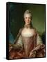 Portrait of Marie Adelaide 1756-Jean-Marc Nattier-Framed Stretched Canvas