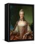Portrait of Marie Adelaide 1756-Jean-Marc Nattier-Framed Stretched Canvas
