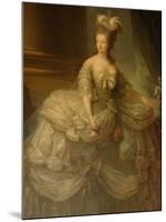 Portrait of Marie Antoinette, Versailles, France-Lisa S^ Engelbrecht-Mounted Premium Photographic Print