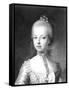 Portrait of Marie-Antoinette-null-Framed Stretched Canvas