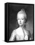 Portrait of Marie-Antoinette-null-Framed Stretched Canvas