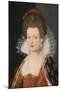 Portrait of Marie De Médici (1575-164), 1605-Frans Francken the Younger-Mounted Giclee Print