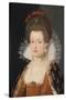 Portrait of Marie De Médici (1575-164), 1605-Frans Francken the Younger-Stretched Canvas