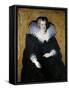Portrait of Marie De Médici (1575-164), 1622-Peter Paul Rubens-Framed Stretched Canvas