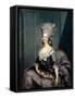 Portrait of Marie Louise of Savoy (1749-179), Princess of Lamballe-Antoine-François Callet-Framed Stretched Canvas