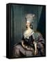 Portrait of Marie Louise of Savoy (1749-179), Princess of Lamballe-Antoine-François Callet-Framed Stretched Canvas