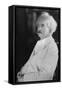 Portrait of Mark Twain-null-Framed Stretched Canvas