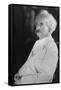 Portrait of Mark Twain-null-Framed Stretched Canvas