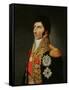 Portrait of Marshal Charles Jean Bernadotte (1763-1844) 1805-Johann Jacob de Lose-Framed Stretched Canvas