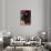 Portrait of Marta Bonnard-Pierre Bonnard-Giclee Print displayed on a wall