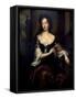 Portrait of Mary Butler, Duchess of Devonshire-Willem Wissing-Framed Stretched Canvas