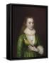 Portrait of Mary Darrell-Robert Peake-Framed Stretched Canvas