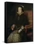 Portrait of Mary I of England, 1554-Antonis Mor-Framed Stretched Canvas