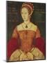 Portrait of Mary I or Mary Tudor (1516-58), Daughter of Henry VIII, at the Age of 28, 1544-Master John Of Samakov-Mounted Giclee Print