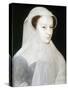 Portrait of Mary, Queen of Scots-Francois Clouet-Stretched Canvas