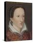 Portrait of Mary Queen of Scots-Francois Clouet-Stretched Canvas