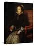 Portrait of Mary Tudor, Queen of England-Anthonis Mor-Stretched Canvas