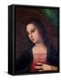 Portrait of Mary-A. Piccinelli-Framed Stretched Canvas