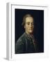 Portrait of Matvei Grigoryevich Spiridov (1751-182), 1776-Mikhail Shibanov-Framed Giclee Print