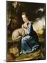 Portrait of Miss Frances Warren-Joseph Wright-Mounted Giclee Print