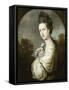 Portrait of Miss Juliet Langton Standing, Half Length, 1764-Sir Joshua Reynolds-Framed Stretched Canvas