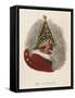 Portrait of Mr. Punch-George Cruikshank-Framed Stretched Canvas