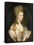 Portrait of Mrs. John Musters C.1777-80-Sir Joshua Reynolds-Framed Stretched Canvas