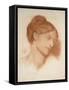 Portrait of Mrs Murray Marks, 1868-Dante Gabriel Charles Rossetti-Framed Stretched Canvas