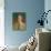 Portrait of Mrs Whelan, C. 1912-3-Harold Gilman-Giclee Print displayed on a wall