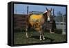 Portrait of Mule Mascot Charlie O-null-Framed Stretched Canvas