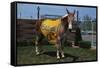 Portrait of Mule Mascot Charlie O-null-Framed Stretched Canvas