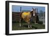 Portrait of Mule Mascot Charlie O-null-Framed Photographic Print