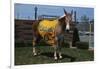 Portrait of Mule Mascot Charlie O-null-Framed Photographic Print