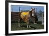 Portrait of Mule Mascot Charlie O-null-Framed Photographic Print