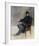 Portrait Of Munnings-Maurice Codner-Framed Premium Giclee Print