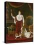 Portrait of Napoleon (1769-1821) in His Coronation Robes, 1811-Robert Lefevre-Stretched Canvas