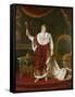 Portrait of Napoleon (1769-1821) in His Coronation Robes, 1811-Robert Lefevre-Framed Stretched Canvas