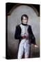 Portrait of Napoleon Bonaparte, First Consul by Jean-Baptiste Isabey-null-Stretched Canvas