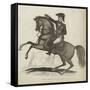 Portrait of Napoleon Bonaparte-null-Framed Stretched Canvas