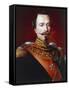 Portrait of Napoleon III of France-null-Framed Stretched Canvas