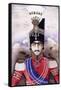 Portrait of Nasir-Ud-Din Shah Qajar (King of Persia), C.1845-1850 (Painting)-null-Framed Stretched Canvas