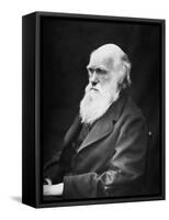 Portrait of Naturalist and Geologist Charles Darwin-Stocktrek Images-Framed Stretched Canvas