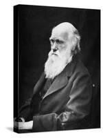 Portrait of Naturalist and Geologist Charles Darwin-Stocktrek Images-Stretched Canvas