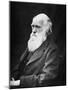 Portrait of Naturalist and Geologist Charles Darwin-Stocktrek Images-Mounted Photographic Print